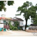 청금식당 이미지