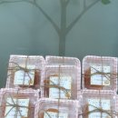 마곡 행복한i어린이집 이미지