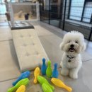 엔젤라유치원 이미지