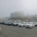 부부건어물 | 보령 가볼만한곳, 대천항 수산시장 건어물 쇼핑은 천하무적