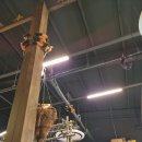 나폴리피자1971 | 부산 정관 맛집 '나폴리 피자 1971' 후기