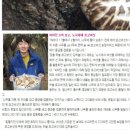 하늘표고버섯