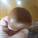 주식회사 케이엔비즈