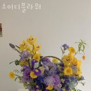 소이디플라워