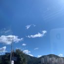 왕소나무민박 이미지