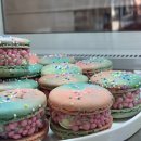 모도리에집 이미지