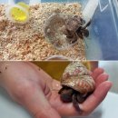 마리들농장 이미지