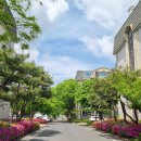 한국하이쿠연구원 꽃잔치 명사마을 110동 201호 이미지