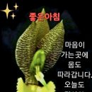 건강보탬