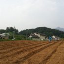 해오름농장 이미지