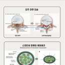 선유재한의원 이미지