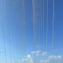 시장교2 이미지