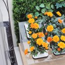 윈윈코리아 | 대구 가전혼수성지 LG전자 베스트샵 달서본점 LG 윈윈 페스티벌 만족스런 상담후기