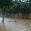 양재초등학교 이미지