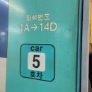 삼남농협평리지점 | [뚜벅이 울산 힐링여행]노관광으로 2박3일을 보내다