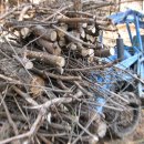 구두마을 이미지