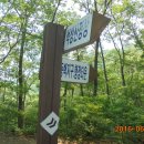 동백호수공원 이미지