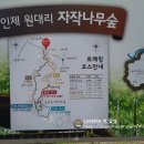 소금강모텔 이미지