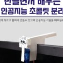 유씨드
