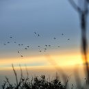 동방낚시터 이미지