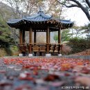 보령댐황토한증막 이미지