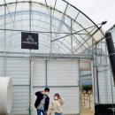 전주레인보우팜 네이버블로그