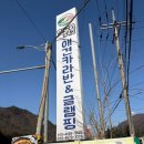 비비큐일동점 | [경기 포천] 애견동반숙소 핫도그342 애견글랭핌&amp;카라반 ｜ 개별 운동장 / 바베큐장, 공용 운동장...