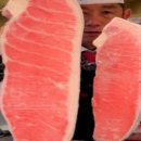 송도복어탕 이미지