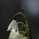 광일골프연습장 이미지