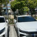 모트헤어 이미지