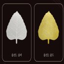 화니 - 서천군 군청로 25 | 화니