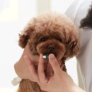 라온동물병원 이미지