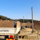 탑코리아 이미지