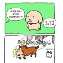오늘은만두