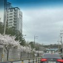 바람이 쉬어가는 집 | with 가족 (1) : 삼성혈, 우진해장국(포장), 제주대 벚꽃길, 한담해안산책로, 돈사돈, 바람이 쉬어가는 집