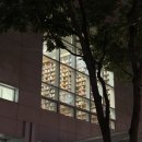 9.15 예술경험/ 유아교육 사상