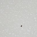 좋은차주유소 이미지