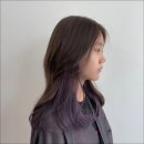 에코레비헤어앤두피