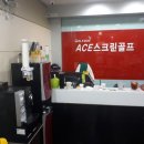 Ace골프스크린 이미지