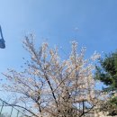 동부공원로 이미지