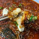 대가코다리 이미지