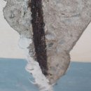 덕산아파트 앞 이미지