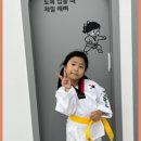 큰솔 태권도 이미지