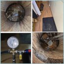 해운대로349번길 | 해운대구 변기막힘 빠른 해결과 다양한 서비스 경험 후기