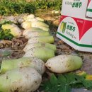 금수농장2 이미지