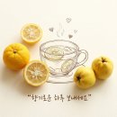 2026년 8월 22일 토요일 오늘의 운세 이미지
