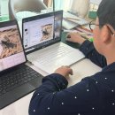 동국대학교(WISE) 사회과학대학원 | 초5한국사 고고학자 마선비한국사 강의 초등학교 방학에 듣기 딱 좋아