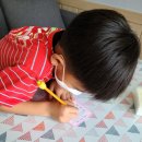 아포초등학교 이미지