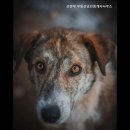 신현대공인중개사사무소 이미지