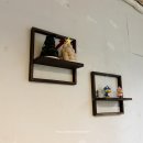 벌소(verso) | 가로수길 숨은 맛집, 벌소 신사점! 돈까스 덮밥이 이렇게 바삭할 수 있다고? 데이트부터 간술, 혼술까지...
